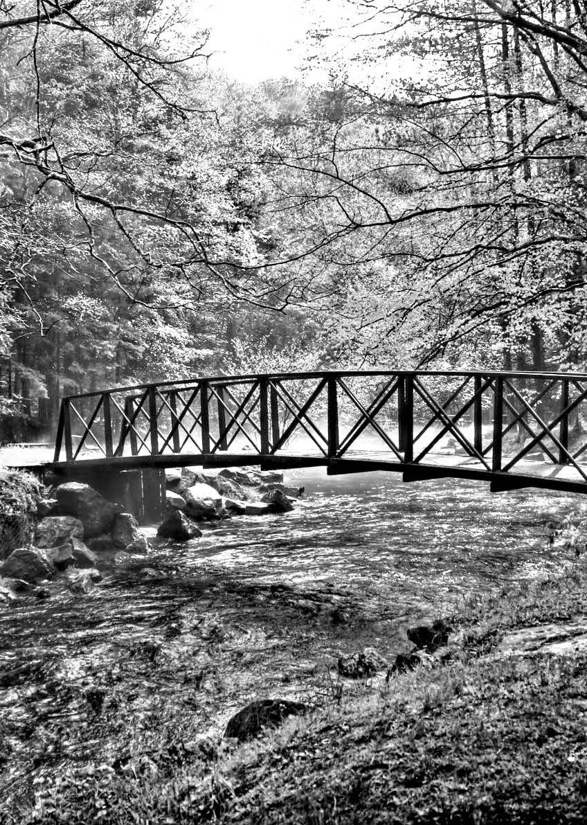 Clear Creek State Park