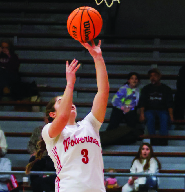 Junior Alexa McDole attempting a layup.