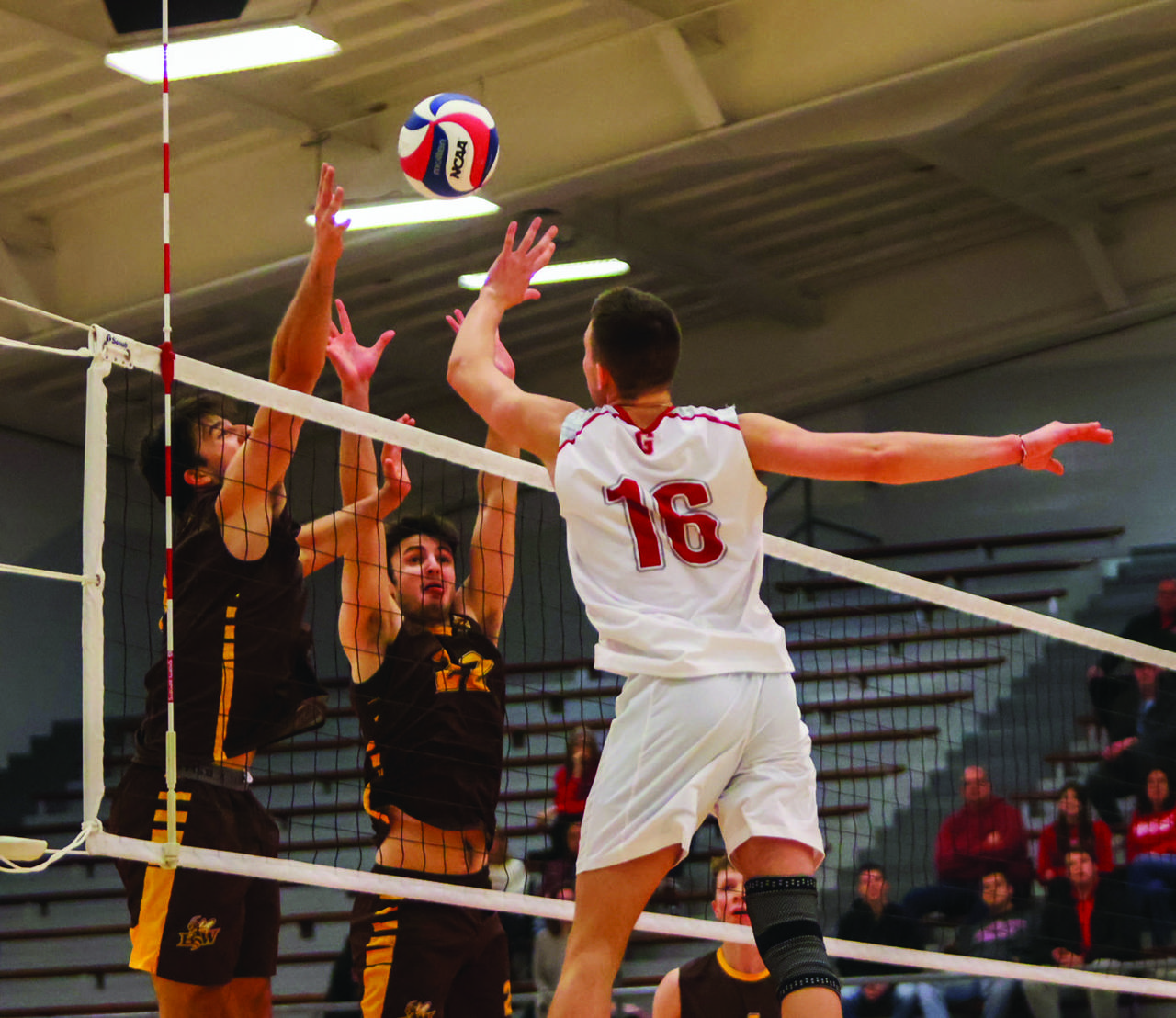 Volleyball tops Mount Alosyius at home invitational