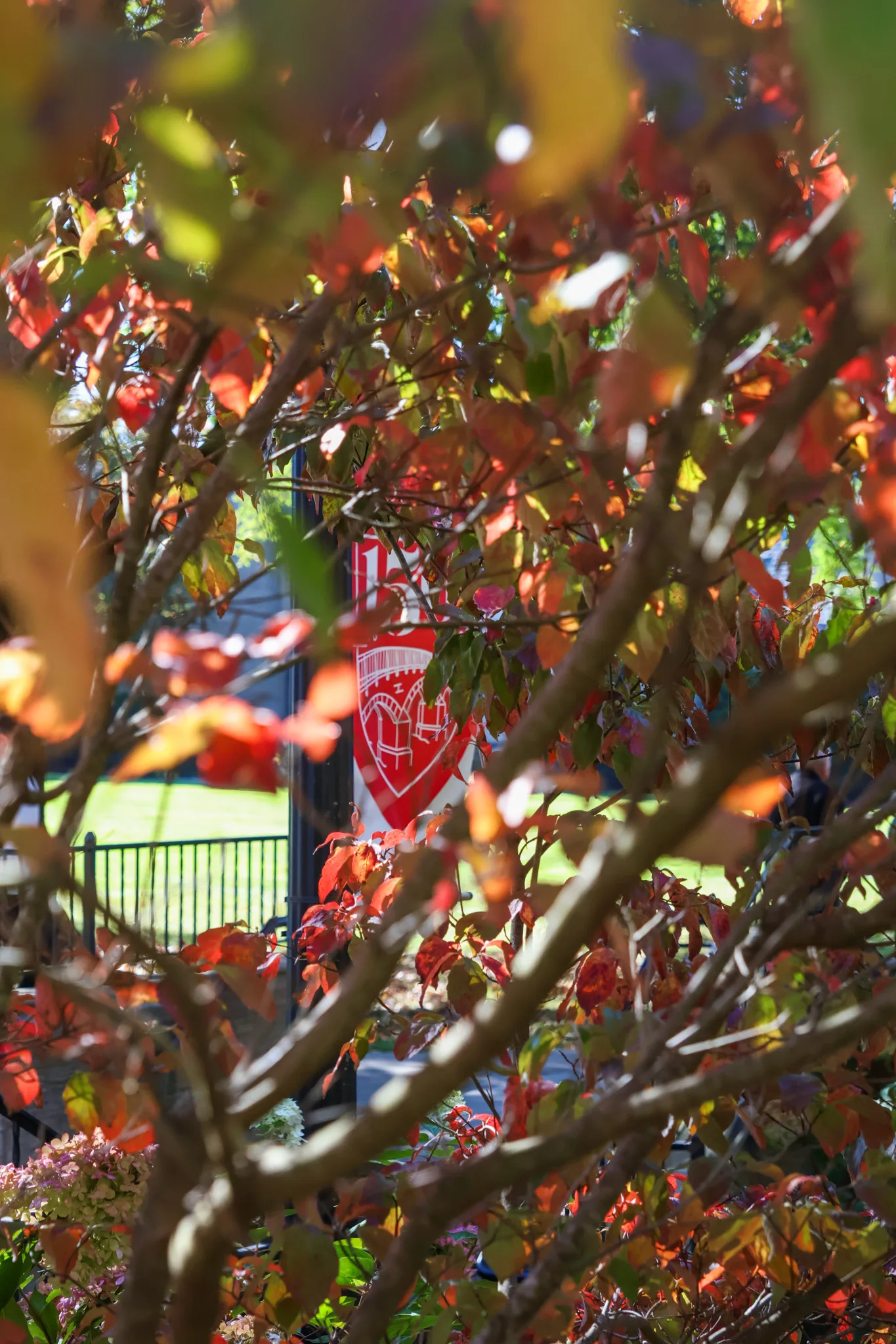 Fall in full swing